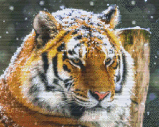 Tiger In The Snow Sixteen [16] Baseplate PixelHobby Mini-mosaic Art Kit